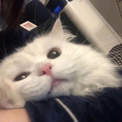 AI大事！马斯克：索赔9300亿元