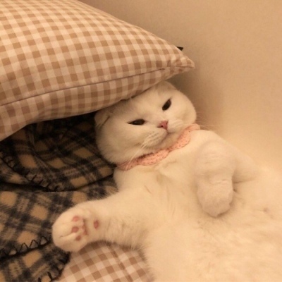 人财两空！广东宝妈梁海燕去世